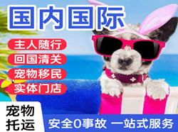 佛山机场物流国际宠物托运 【国